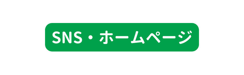 SNS ホームページ